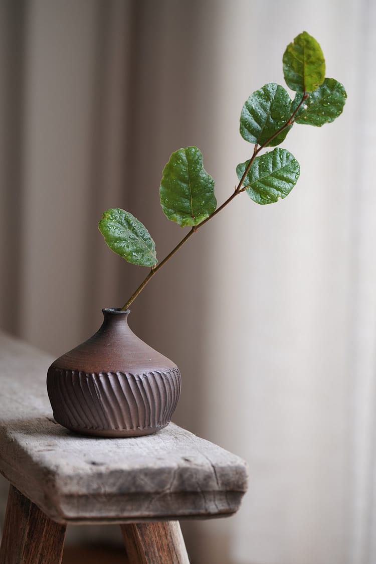 Woodfired collection: wave vase (#1)