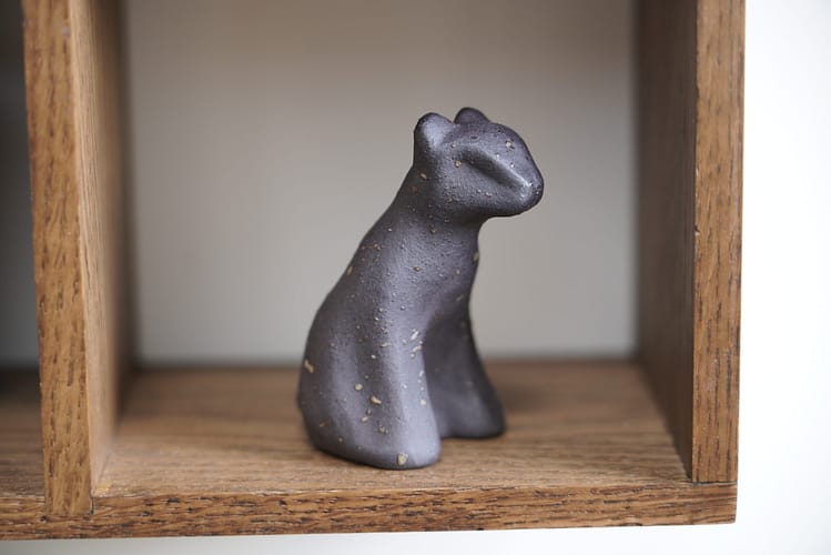 Tiny creature called bear